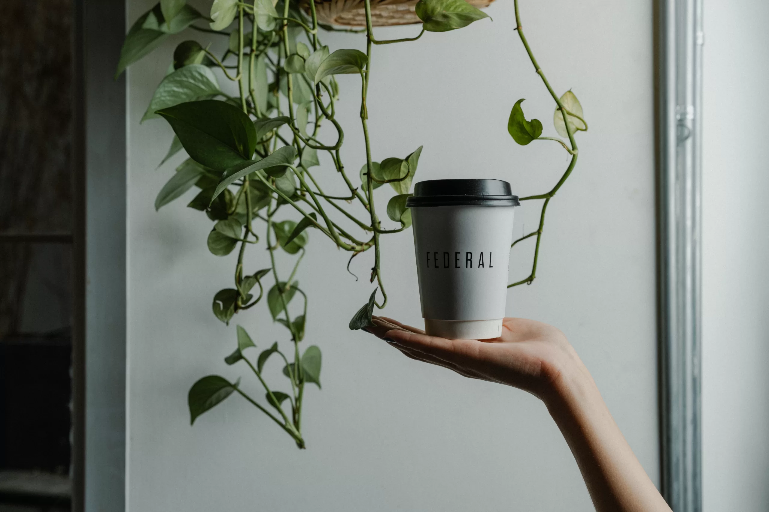 Federal Coffee